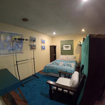 Neighbor Of Frida Khalo, Vintage Stay In Coyoacan Meksyk Zewnętrze zdjęcie