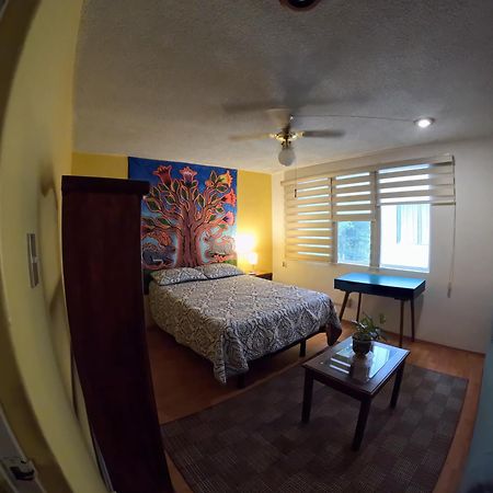 Neighbor Of Frida Khalo, Vintage Stay In Coyoacan Meksyk Zewnętrze zdjęcie