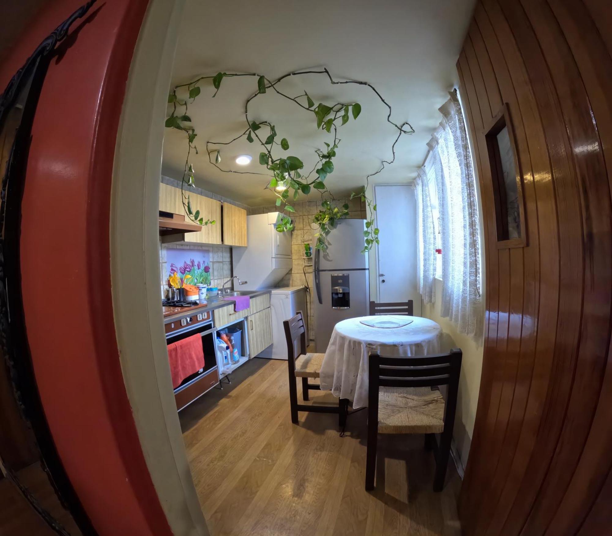 Neighbor Of Frida Khalo, Vintage Stay In Coyoacan Meksyk Zewnętrze zdjęcie