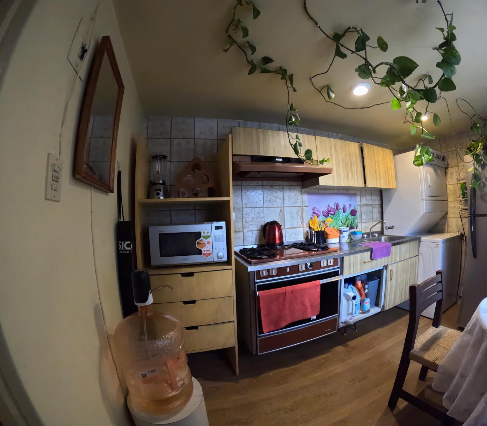 Neighbor Of Frida Khalo, Vintage Stay In Coyoacan Meksyk Zewnętrze zdjęcie