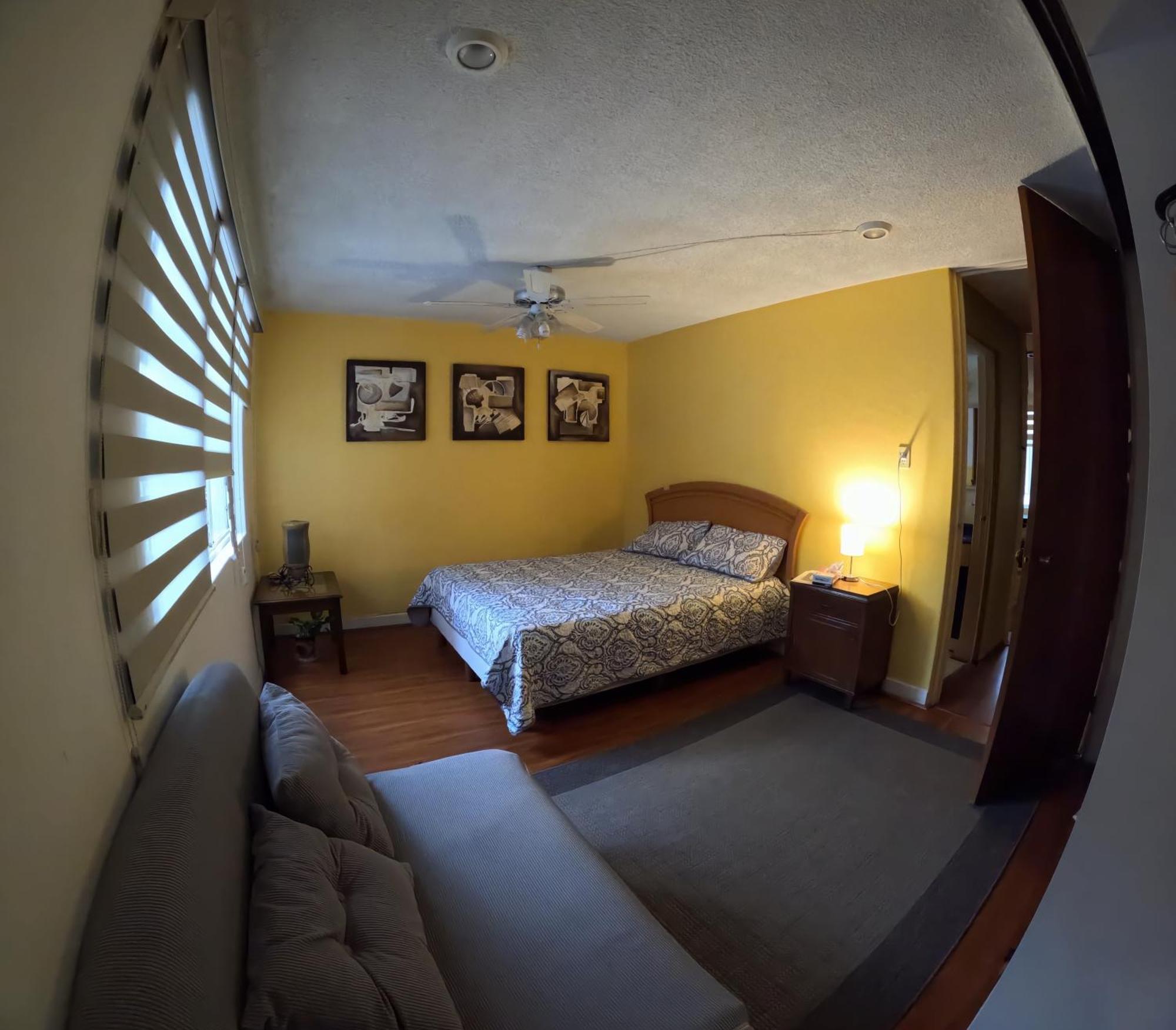 Neighbor Of Frida Khalo, Vintage Stay In Coyoacan Meksyk Zewnętrze zdjęcie