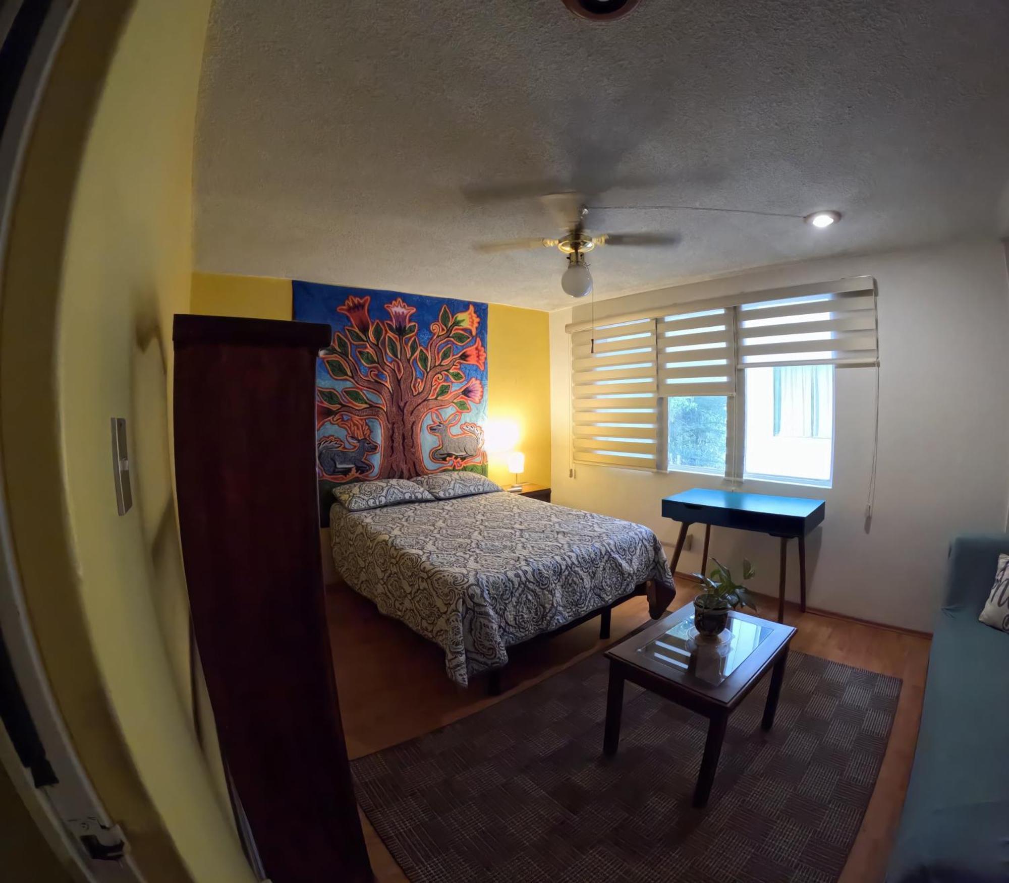 Neighbor Of Frida Khalo, Vintage Stay In Coyoacan Meksyk Zewnętrze zdjęcie